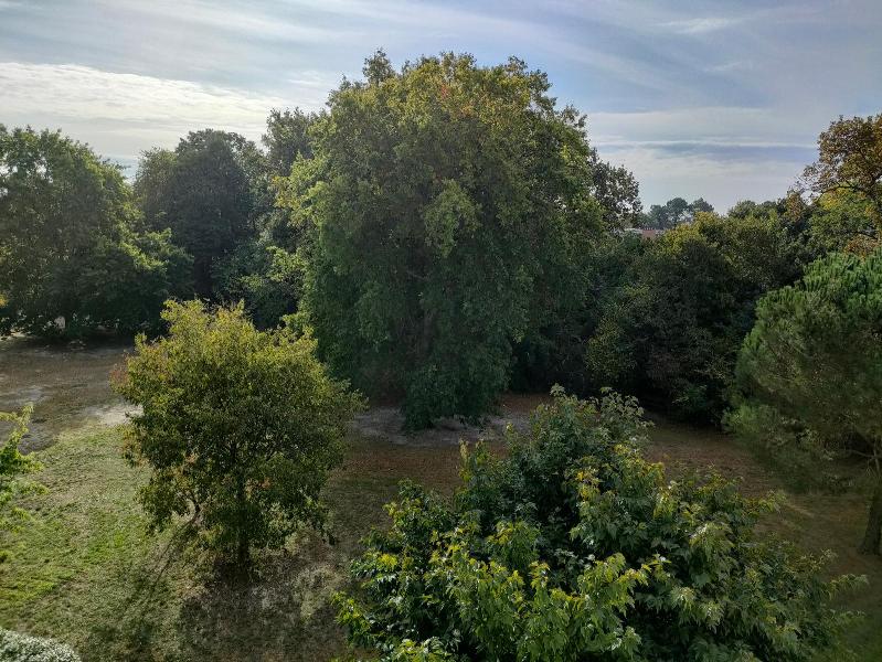 Appartement en Location à Talence / 2 pièces 52m2